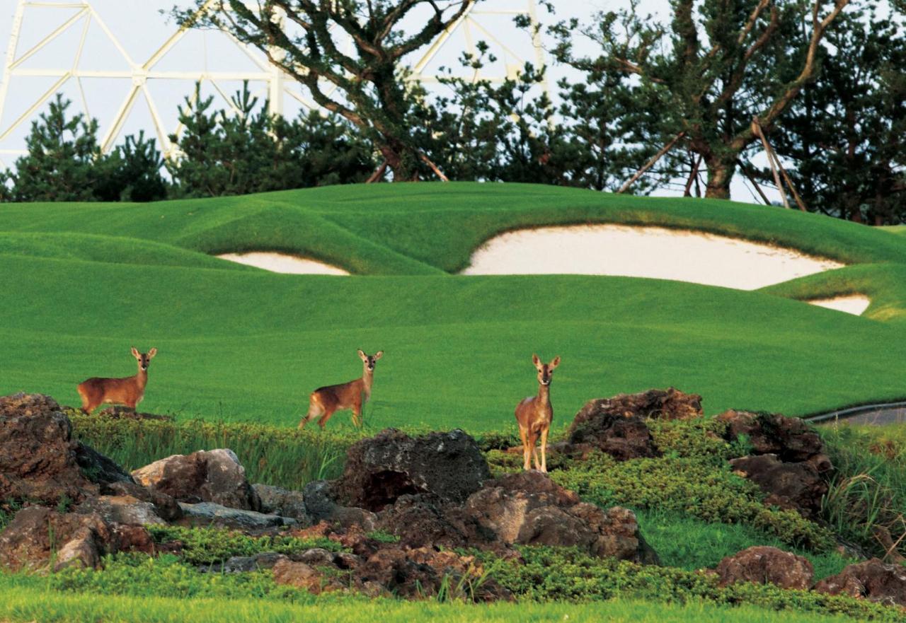 Ardenhill Resort & Golf Чеджудо Экстерьер фото